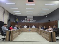 Câmara Municipal realiza a 29ª Sessão Ordinária de 2025